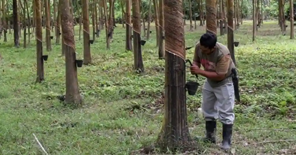 Gagal Permohonan Bantuan Musim Tengkujuh Gagal Permohonan Bantuan Musim Tengkujuh