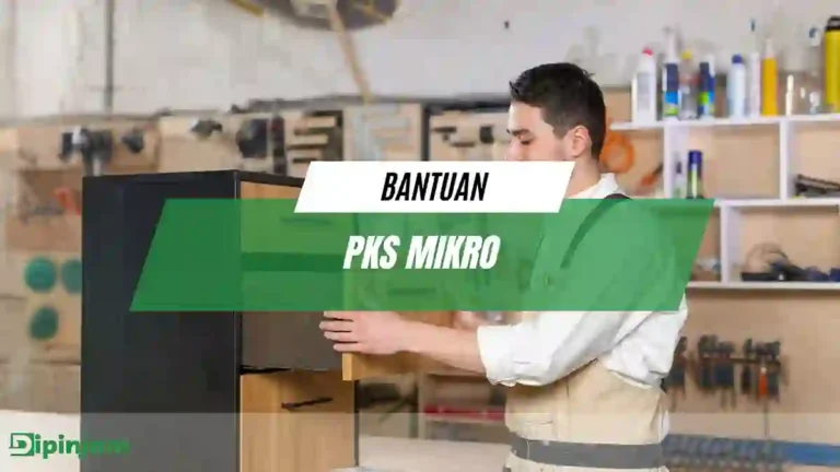 Bantuan PKS Mikro