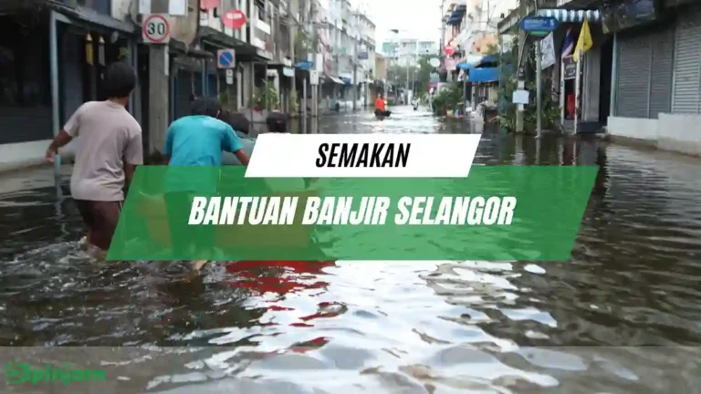 Semakan Bantuan Banjir Selangor